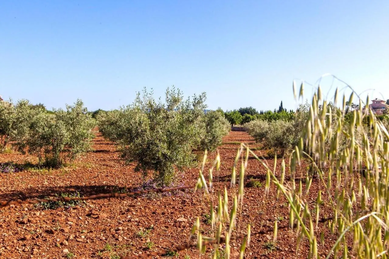 Villa Damian 6 Αλκούδια