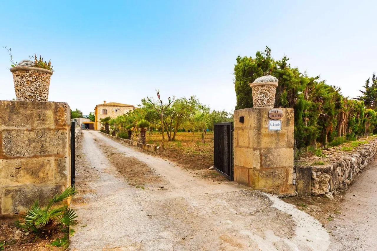 Villa Damian 6 Αλκούδια